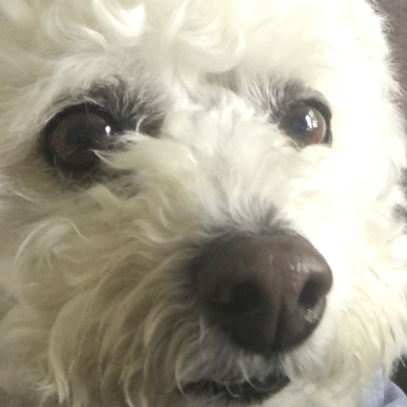 Meet your Posher, Jordan - Picture 1 of 1